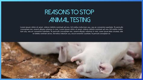 the dangers of animal testing